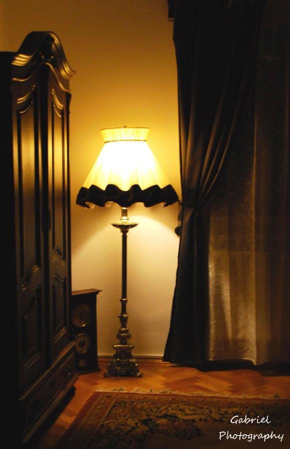 Bed and Breakfast Casa Szabo Сигишоара Экстерьер фото